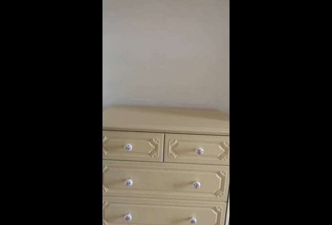 Video 1: Front view