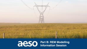 Part B: REM Modelling - July 29, 2025 [Posted: Aug. 5, 2025]