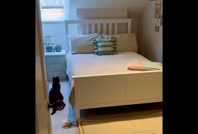 Video 1: bedroom