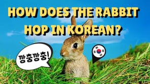 How Does The Rabbit Hop in Korean! + Chapter 3-2 Breakdown of [Learn Korean with 10 Best Tales -]
