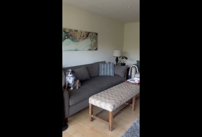 Large Room Available for SOBER Roommate Main Photo