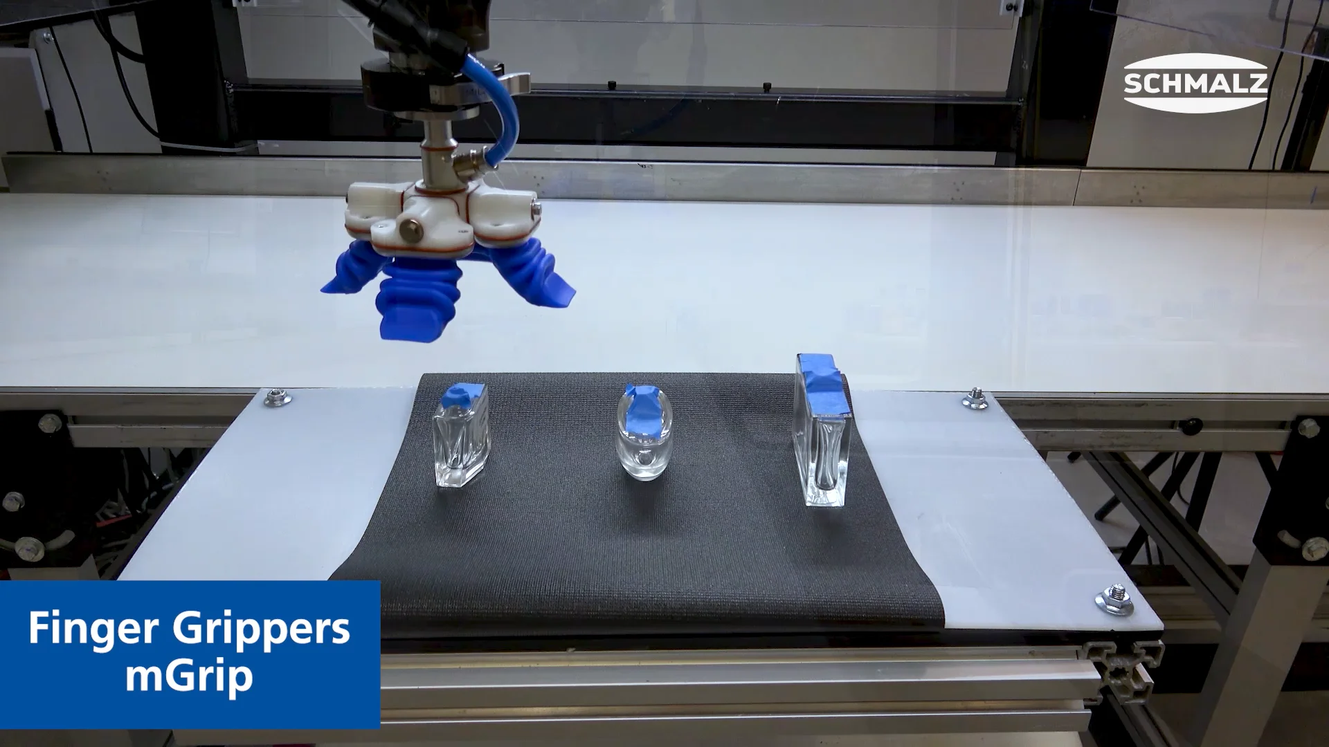 Pick and Place of Glass Bottles of Various Shapes | Schmalz