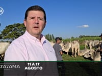 Pós-Venda<br>Katayama