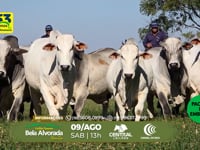 Convite João Campo <br> Leiloeiro Rural