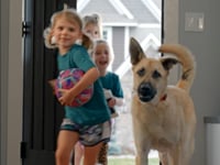Related Embedded Video Item Thumbnail