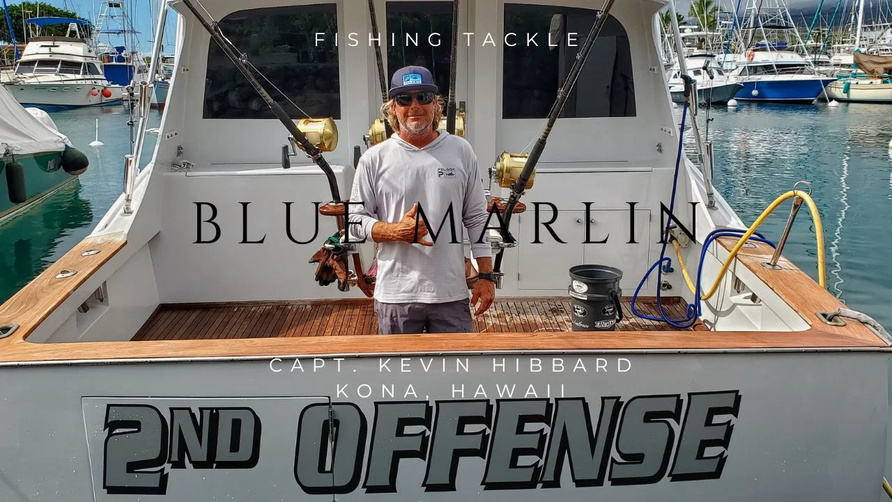 Blue Marlin Fishing Tackle In The Spread - Main Image