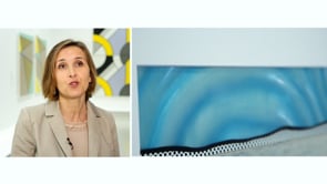 Vignette de la vidéo