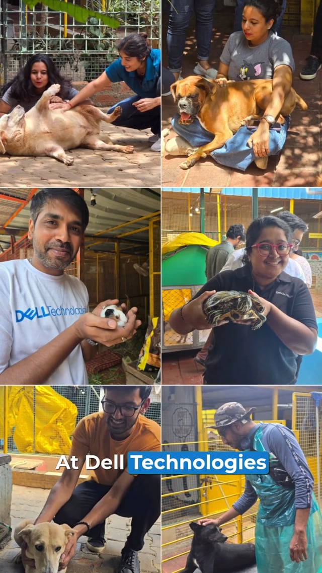 Charlie's Animal Rescue