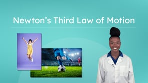 Newtons Third Law of Motion