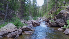 GRIZZLY FISHES FOR TROUT-STOCK