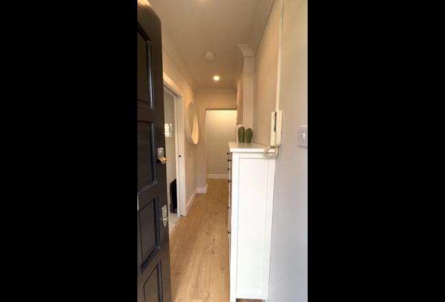 Video 1: