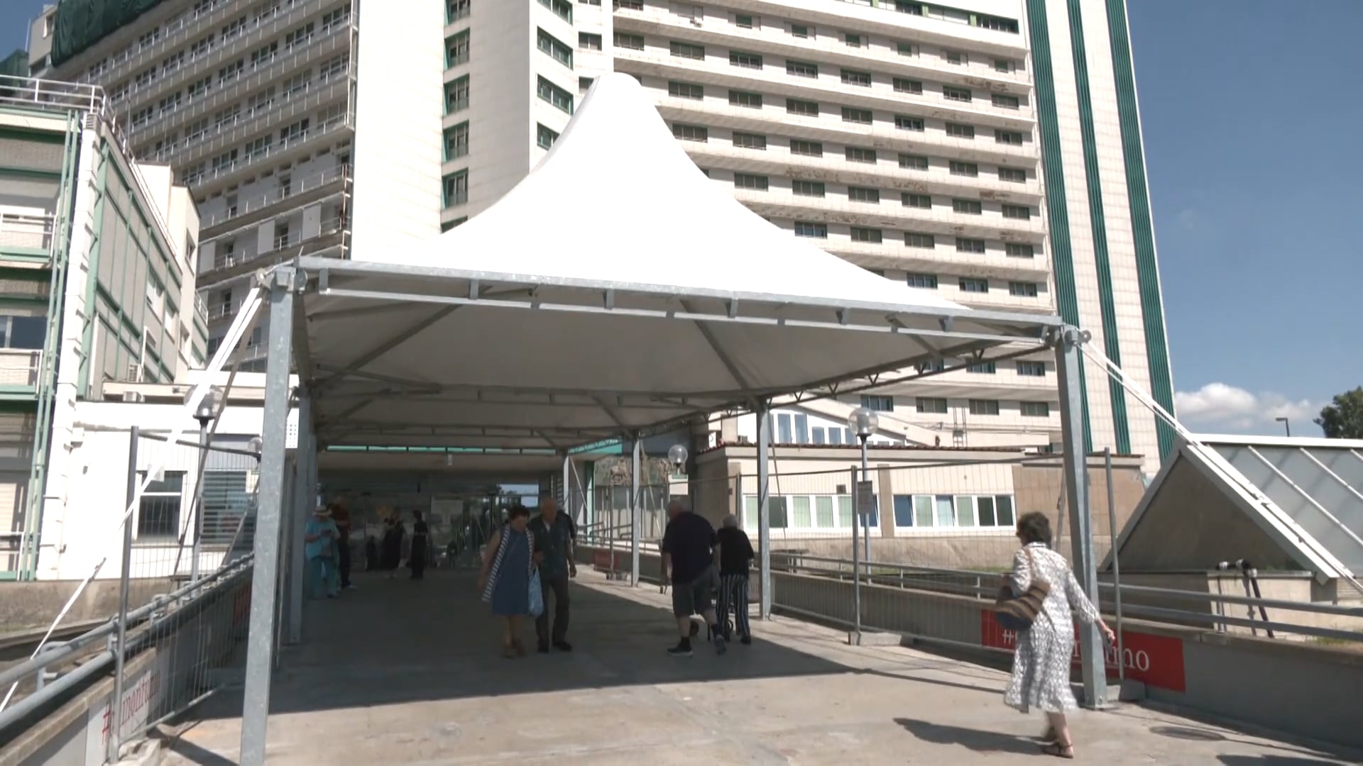 60enne punto da un calabrone, è grave in ospedale