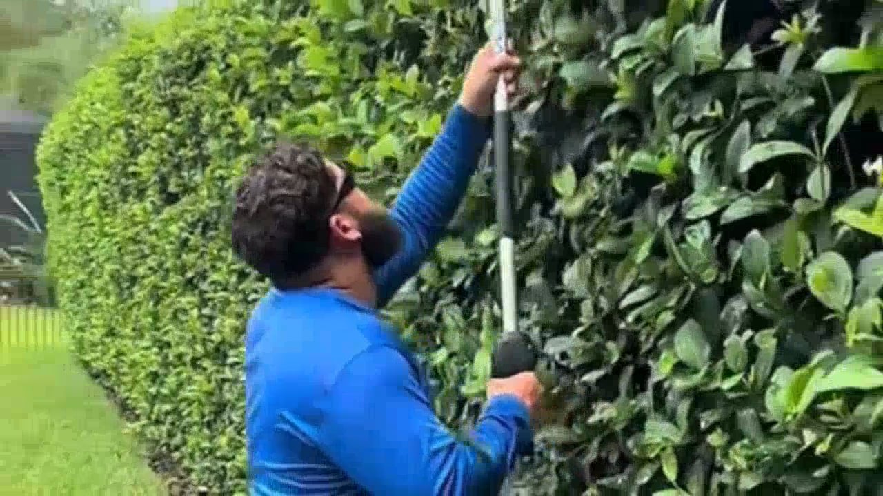 https://i.vimeocdn.com/video/2045346544-83e1647c3827458a256ec9b07a063b58357d9e0fbb77be747bdb9e37e02067e9-d