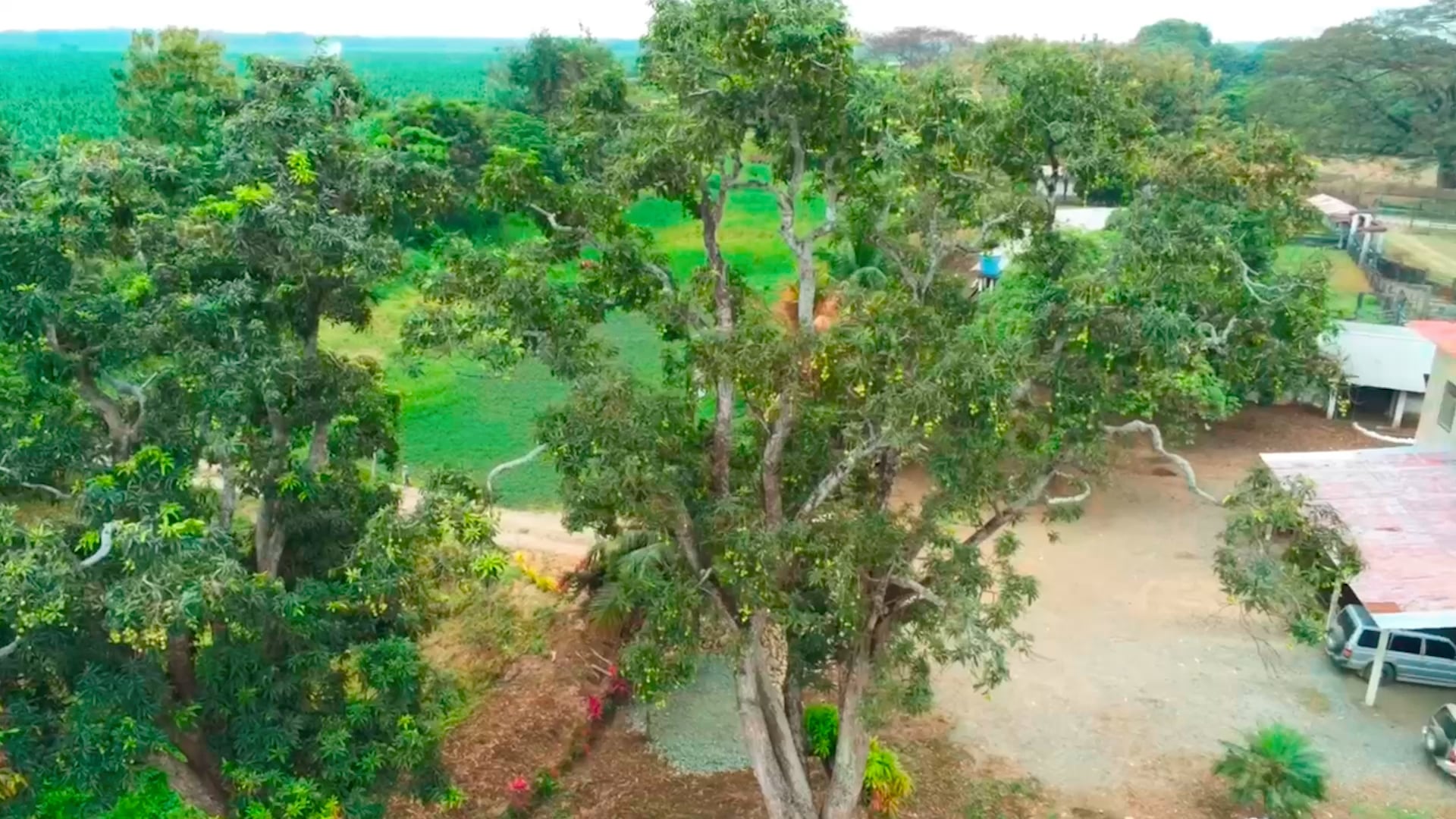 https://i.vimeocdn.com/video/2045366324-03923f691f888b1cb10268f0e1a344aa32395a57cd55746c0f0812da11c14635-d