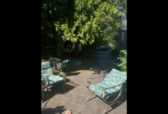 Former Superhost w AirBNB offers room Main Photo