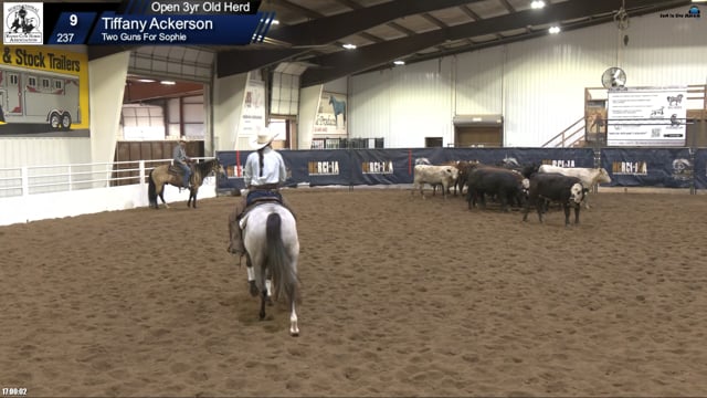 #237 Tiffany Ackerson