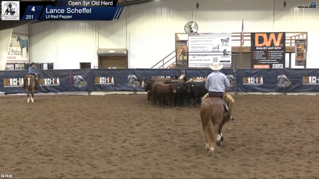 #251 Lance Scheffel