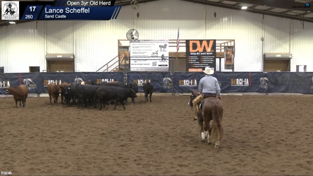 #260 Lance Scheffel