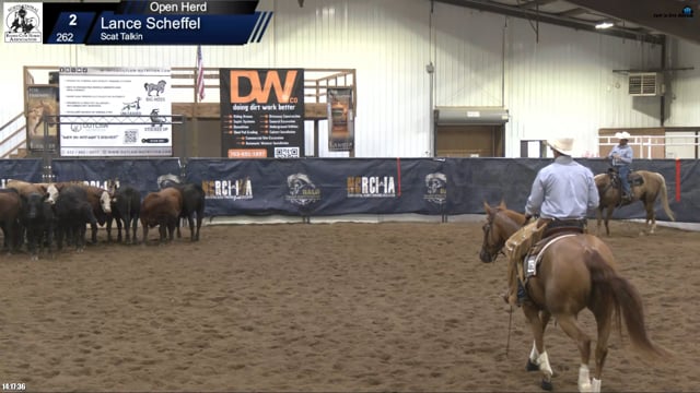 #262 Lance Scheffel