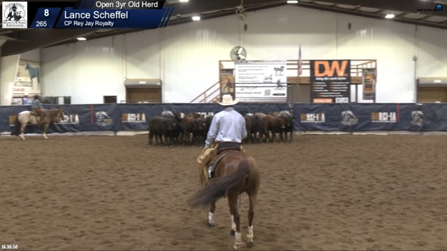 #265 Lance Scheffel