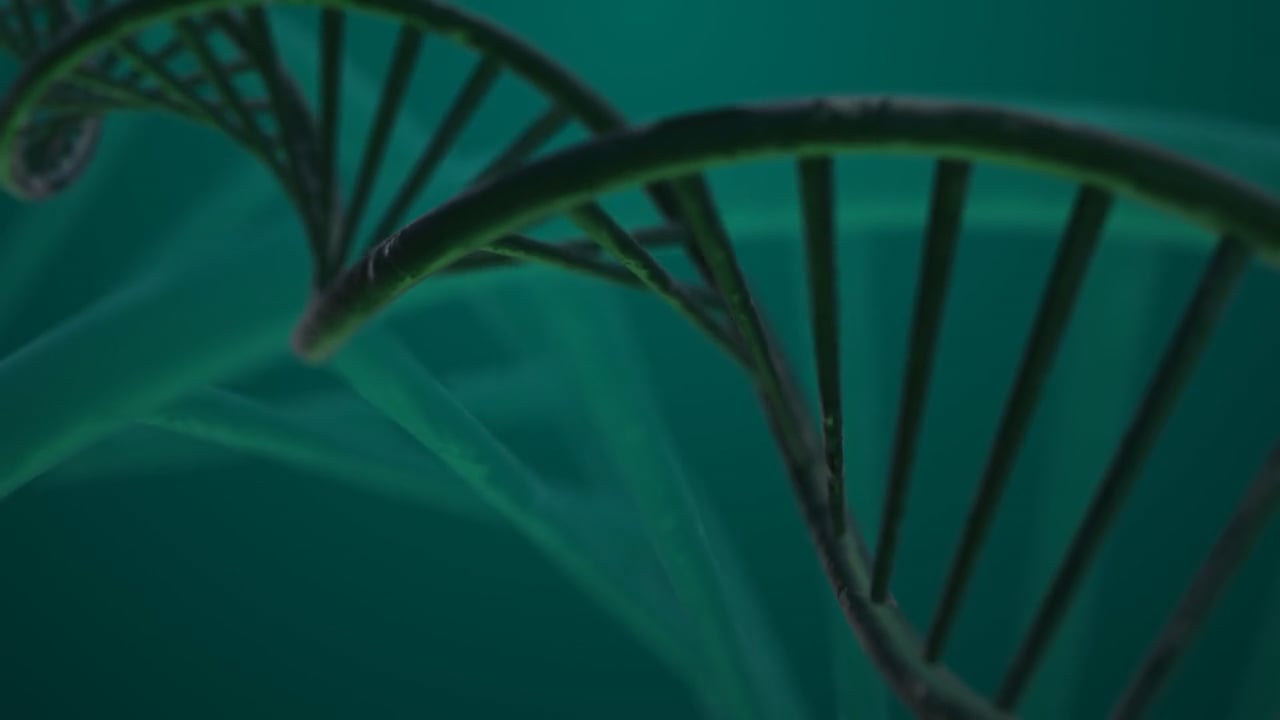 https://i.vimeocdn.com/video/2045537433-82a403b826da5e8250b3e4aed0db86fe1da80bf1d62fb6a2a454e746ae714810-d