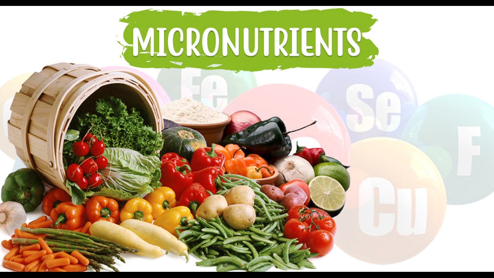 Week 2 - Purposeful Movement & Micros