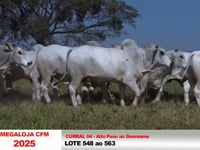 Curral 04