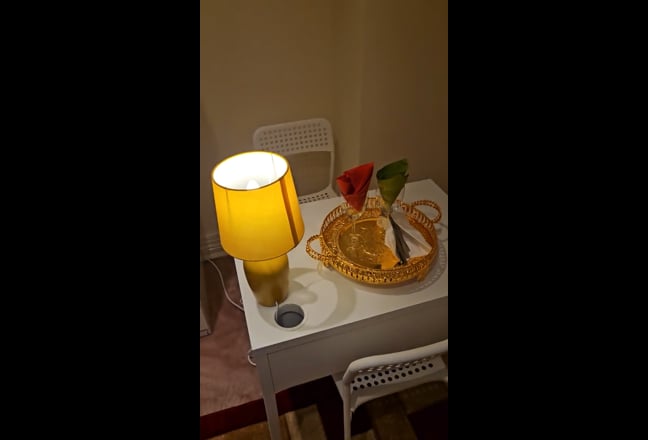 Video 1: