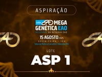 Lote ASP01