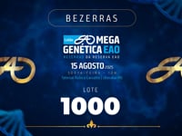 Lote 1000