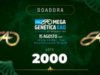 Lote 2000