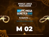 Lote M02