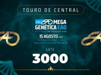 Lote 3000