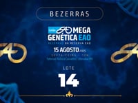 Lote 14