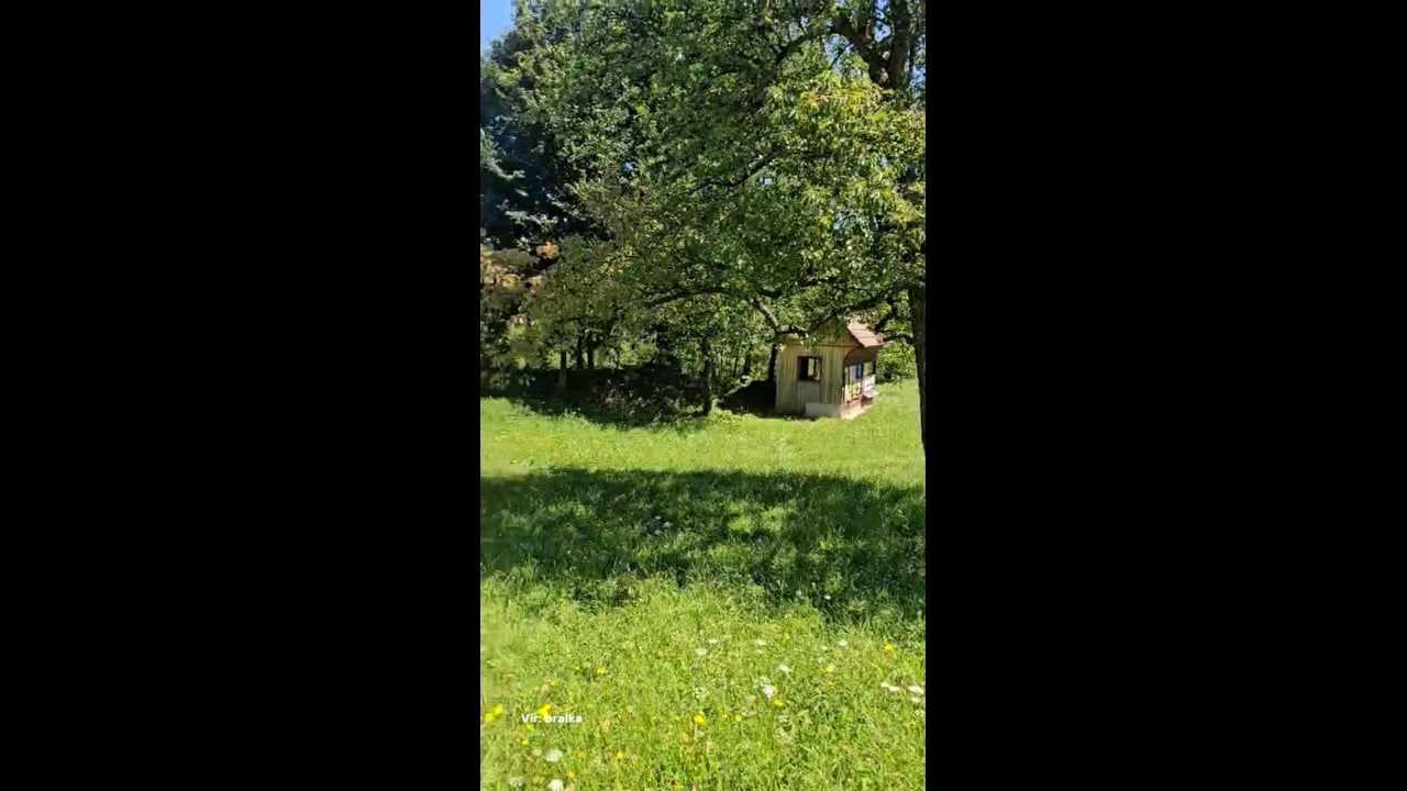 Novo razdejanje medveda: 