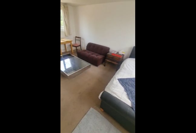 Video 1: view from Skyline windows