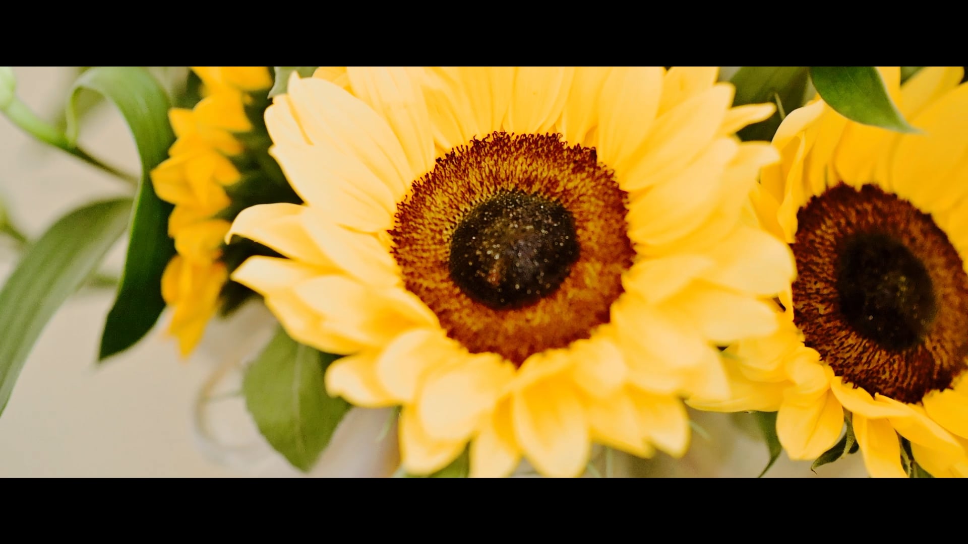 Karl & Amanda - Bromwich Park