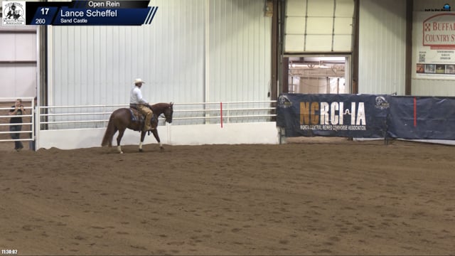 #260 Lance Scheffel