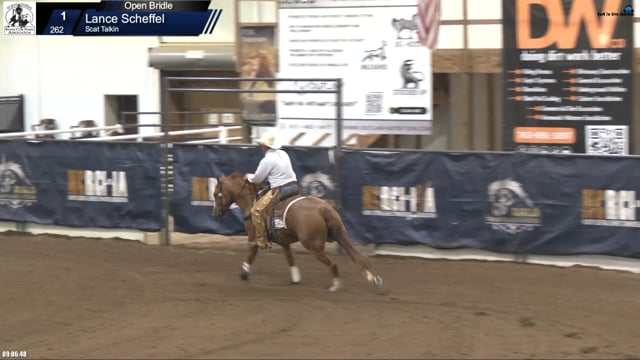 #262 Lance Scheffel