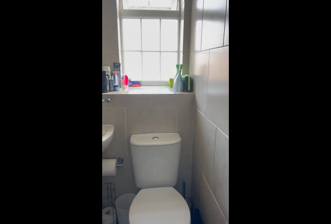 Lovely quiet home for Professional Female Tenant  Main Photo