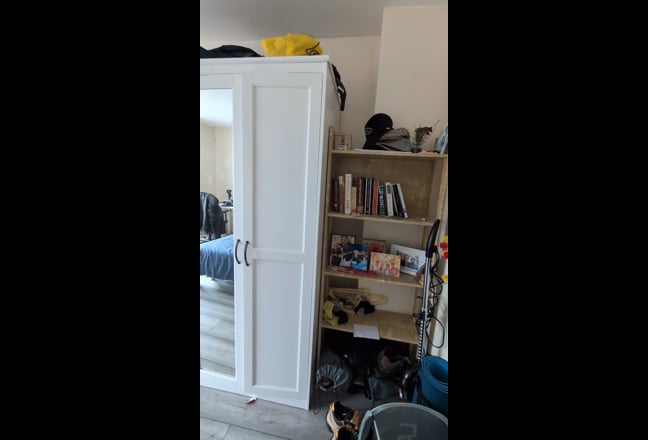 Video 1: