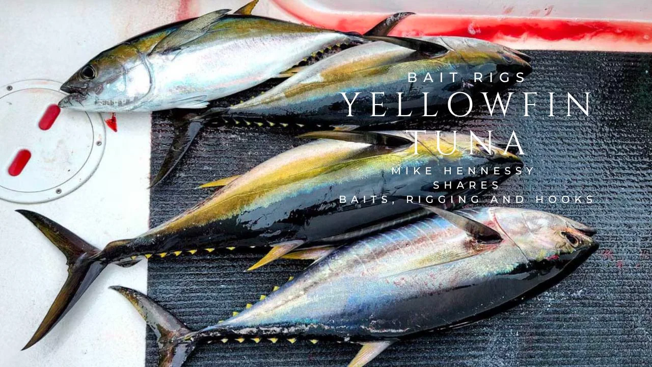 Bait Rigs for Yellowfin Tuna Fishing, image size:1280x720