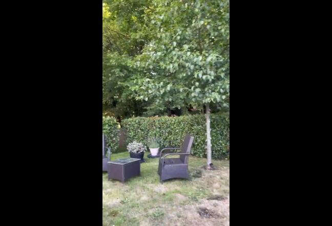 Video 1: