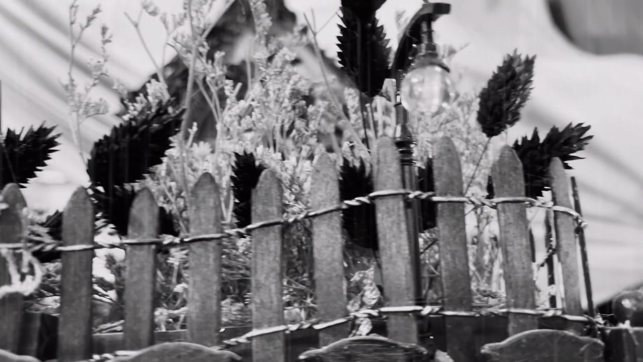 Watch The Midnight Owls on our Free Roku Channel