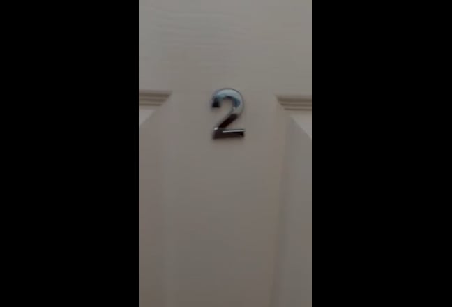 Video 1: 