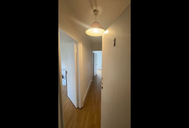 Video 1: