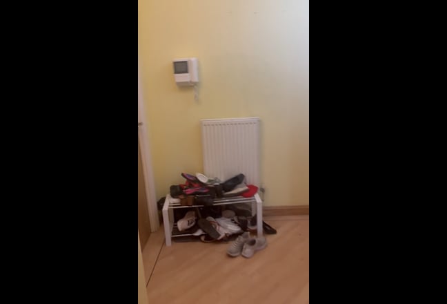 Video 1: