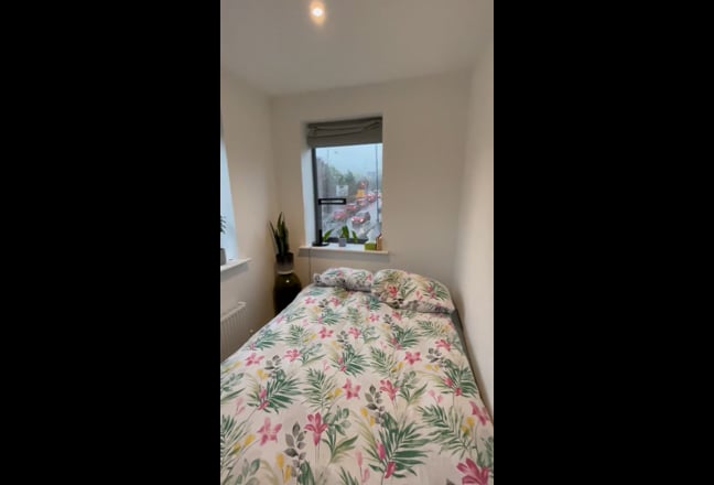 Bright double room available in St Paul’s/St Werbs Main Photo