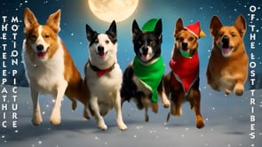 [10a] Season18_x26 [25]