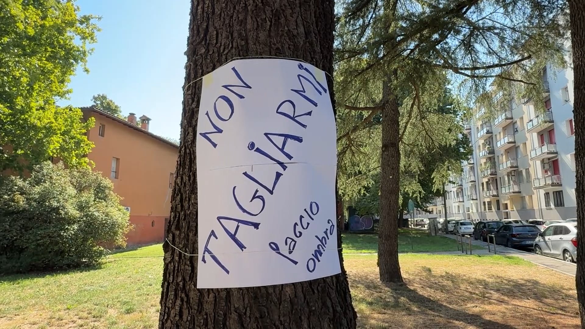Area verde al Casalone, i cartelli contro il taglio degli alberi